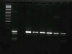 My Documents\My Pictures\pic_kit2.jpg